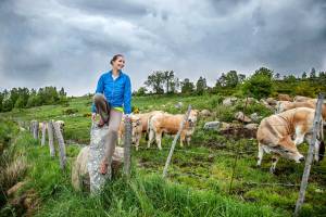 Jean François HUMBERT - JFH