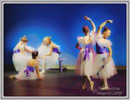 Christophe DESAPHY - PHOTO-COUP2COEUR